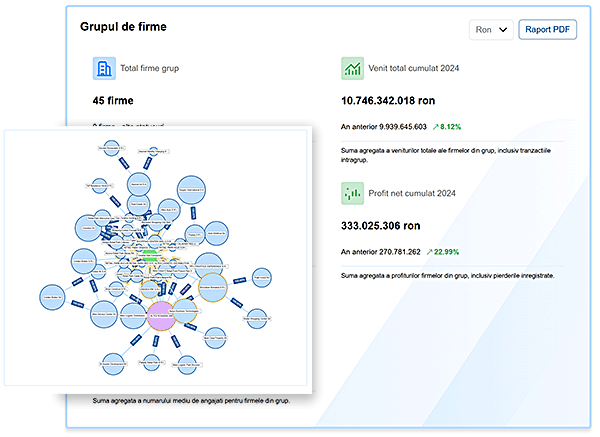 Facilitati Grupuri de Firme dupa Actionariat