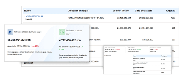 Avantaje si Beneficii Grupuri de Firme dupa Actionariat