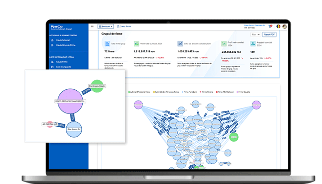 Grupuri de Firme dupa Actionariat